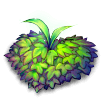 Fragrant Grass
